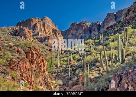 Falaises dans les montagnes Mazatzal, sur Apache Trail, région de Fish Creek Hill, forêt nationale de Tonto, Arizona, États-Unis Banque D'Images