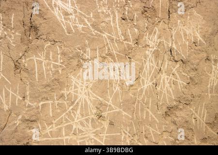 le compte à rebours des jours est rayé sur le mur de sable Banque D'Images