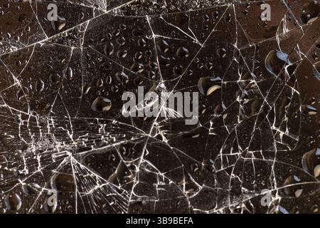 verre brisé couvert d'eau sur un fond sombre, verre mince humide cassé en de nombreux morceaux Banque D'Images