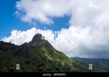 Le paysage montagneux le long de la route de Puamau sur Hiva Oa, îles Marquises, Polynésie française, est recouvert d'une végétation tropicale dense avec rugge Banque D'Images