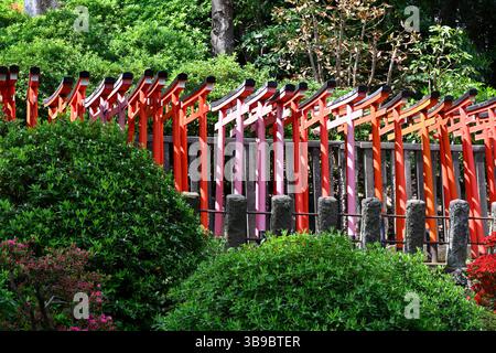 Sanctuaire Nezu Jinja, le célèbre sanctuaire shinto à Tokyo, Japon. Banque D'Images