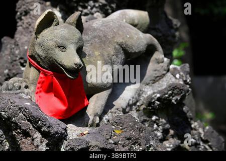 Statue de renard au sanctuaire , sanctuaire shinto Nezu-Jinja, Tokyo, Japon. Banque D'Images