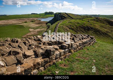 Mur Hadrien courant le long du sommet de Steel Rigg, Northumberland, Angleterre, Royaume-Uni. Banque D'Images