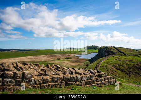 Mur Hadrien courant le long du sommet de Steel Rigg, Northumberland, Angleterre, Royaume-Uni. Banque D'Images