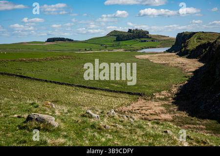 Steel Rigg et Graig Lough, avec Hadrien Wall longeant le sommet, Northumberland, Angleterre, Royaume-Uni. Banque D'Images