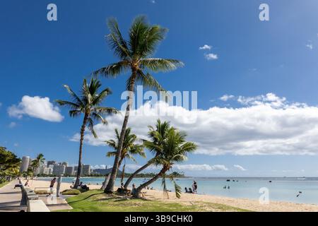 Ala Moana Beach à Honolulu Hawaï, avec des palmiers, touristes Sun Bay et Swin dans l'océan, Hawaï, Stock photo Banque D'Images