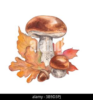 Bouleau bolete avec fougère et escargot. Aquarelle illustration dessinée à la main. Composition pour cartes postales et invitations sur le thème de la forêt et de la nature. Banque D'Images