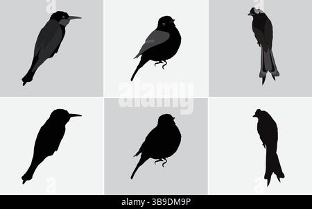 Six illustrations minimalistes de silhouette d'oiseau noir : icônes vectorielles pour la conception Web et d'impression, silhouettes d'oiseau noir ensemble vectoriel : comprend Finch, moineau, Illustration de Vecteur