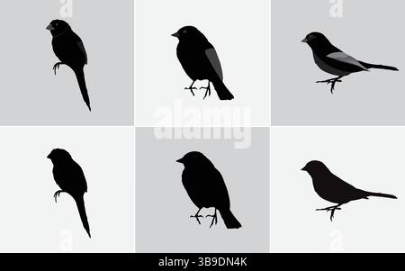 Six illustrations minimalistes de silhouette d'oiseau noir : icônes vectorielles pour la conception Web et d'impression, silhouettes d'oiseau noir ensemble vectoriel : comprend Finch, moineau, Illustration de Vecteur