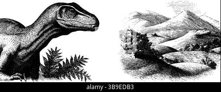 Ensemble d'illustrations gravées avec iguanodon et paysage naturel pour la conception éducative. Illustration de Vecteur