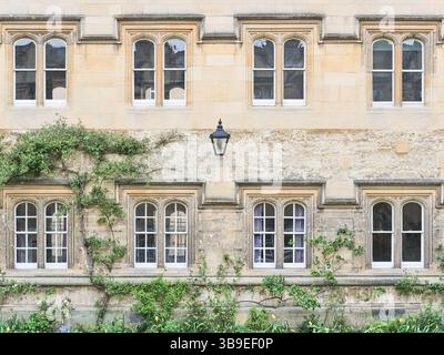 Premier Quad à Oriel (Blessed Mary the Virgin) College, Université d'Oxford, Angleterre. Banque D'Images