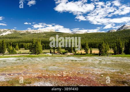 Sources minérales à Tuolumne Meadows (source de soude) Banque D'Images