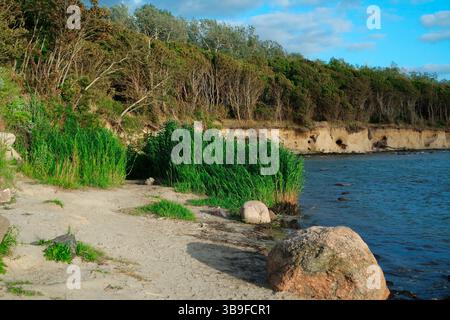 Falaises sur la mer Baltique, île de Poel Banque D'Images