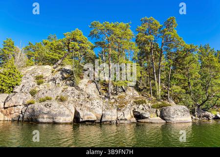 Côte de la mer Baltique avec des rochers et des arbres dans l'archipel au large de Väste Banque D'Images