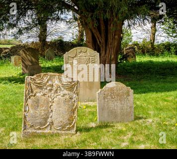 Pierres tombales sous un if dans un cimetière britannique du Gloucestershire Banque D'Images