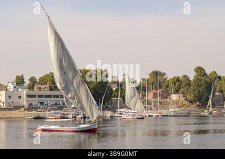 Vue sur le Nil à Assouan avec des bateaux Felucca Banque D'Images