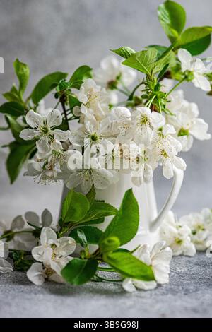 Un arrangement serein de fleurs de cerisier blanc dans un élégant vase en céramique. La scène capture la fraîcheur du printemps, avec un accent de feuilles vertes éclatantes Banque D'Images