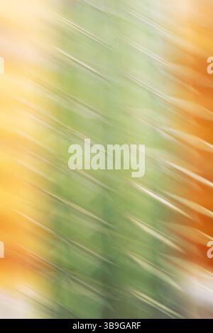 Image floue abstraite avec un dégradé lisse de l'orange au vert, parfait pour les arrière-plans dynamiques et éclatants. Banque D'Images