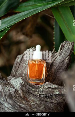 Une bouteille de sérum de vitamine C dorée pour les soins du visage est perchée sur un tronc d'arbre noueux, entouré de feuilles vertes luxuriantes, mélangeant nature et skincar Banque D'Images
