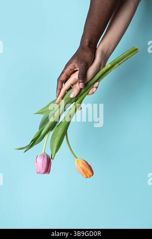 Une image en gros plan capture l'interaction harmonieuse de mains multiethniques, un mâle et une femelle, tenant doucement des fleurs vibrantes. Le geste tendre Banque D'Images
