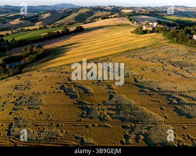 Vue aérienne des champs ruraux près de Macerata, Italie, pendant l'heure d'or. Collines ondulantes, terres cultivées et arbres dispersés sous la lumière chaude du soir Banque D'Images