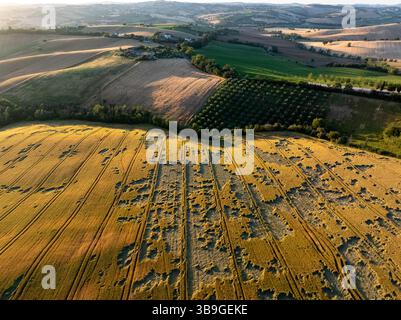 Une vue par drone sur la campagne de Macerata montrant un mélange de champs cultivés et de parcelles bordées d’arbres, mettant en évidence les textures des terres agricoles Banque D'Images