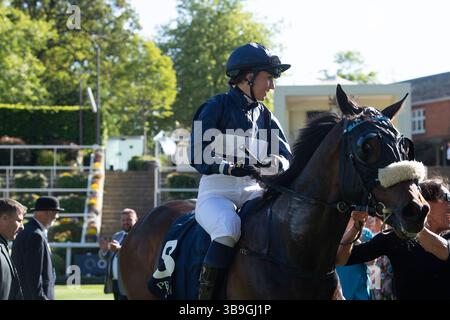 Ascot, Royaume-Uni. 9 mai 2025. Horse Toby Tops monté par le jockey Morgan Cole remporte le Peroni Nastro Azzurro 0,0% Apprentice handicap Stakes, Class 4, GBBPlus Race à Ascot Racecourse dans le Berkshire au Peroni Nastro Azzurro 0,0% Friday Raceday. Propriétaire M. Paul Goonan, entraîneur Dylan Cunha, Newmarket, éleveur Curie Monceaux/Rifa Mustang. Crédit : Maureen McLean/Alamy Live News Banque D'Images