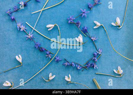 Coeur de fleur coupé fait d'étoiles bleues se trouve horizontalement avec des gouttes de neige sur un fond bleu Banque D'Images