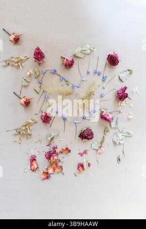 Des fleurs séchées de diverses fleurs combinées à des fleurs violettes et bleues fraîches créent une forme de cœur dans un arrangement floral coloré Banque D'Images