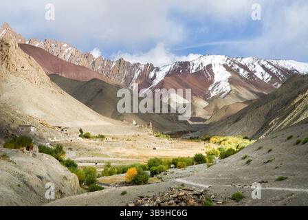 Vallée de Rumbak, parc national de Hemis, région du Ladakh, état du Jammu-et-Cachemire, Inde, Asie Banque D'Images