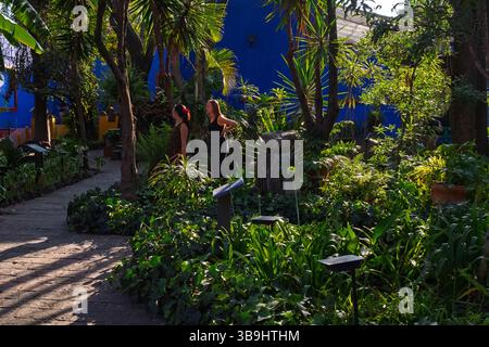 Les jardins du musée Frida Kahlo appelé la Casa Azul dans le quartier Coyoacan de Mexico, Mexique Banque D'Images