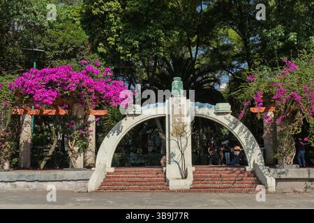 Lindbergh Forum, une place bien-aimée dans le Parque Mexico, dans le quartier de Condesa, Mexique Banque D'Images