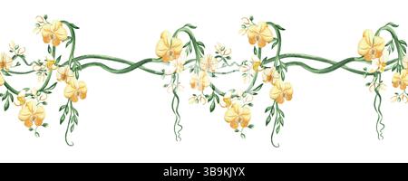 Fleurs d'orchidée et liane tropicale avec des feuilles vertes illustration aquarelle isolée. Bordure sans couture de plante grimpante florissante pour la conception de la jungle Banque D'Images