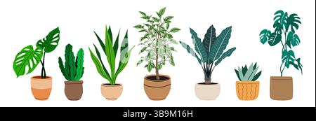 Maison en pot de plantes d'intérieur set vecteur isolé Illustration de Vecteur