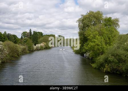 Un petit bateau descendant la pittoresque Tamise, vue depuis Wallingford Bridge avec des arbres verdoyants sur les deux rives, Oxfordshire, Angleterre. Banque D'Images