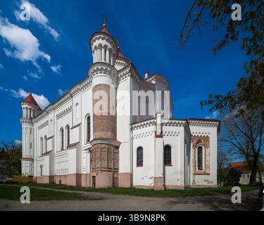 Cathédrale de Theotokos, église orthodoxe de style byzantin à Vilnius, Lituanie Banque D'Images