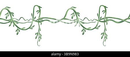 Liane tropicale verte avec feuilles illustration aquarelle isolée. Bordure sans couture de plantes exotiques tropicales pour la conception de jungle de printemps. Dessiné à la main Banque D'Images