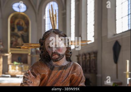 Âne de palmier, détail, dans l'église paroissiale de Saint-Nicolas, Oberthingau, Ostallgaeu, Bavière, Allemagne, Europe Banque D'Images