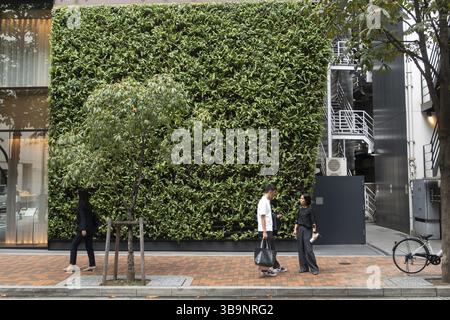 Couple debout sur un sentier devant un mur couvert de plantes grimpantes vertes à Ginza, Tokyo, Japon, Asie Banque D'Images