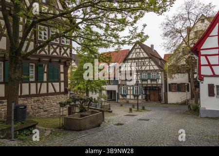 Près du centre routier, aérien et ferroviaire de Stuttgart et à proximité du nord de la Forêt-Noire, se trouve la ville qui allie tradition et modernité Banque D'Images