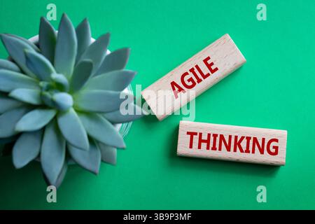 Symbole de pensée agile. Blocs en bois avec des mots Agile Thinking. Beau fond vert avec plante succulente. Concept Business et Agile Thinking. Banque D'Images