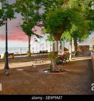 Parque dans le vieux San Juan. Porto Rico. Une vue matinale paisible sur le port. Peu de touristes si tôt le matin. Homme non identifiable. Banque D'Images