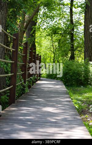Un sentier de la nature sereine qui est magnifiquement entouré de feuillage vert luxuriant et d'arbres Banque D'Images