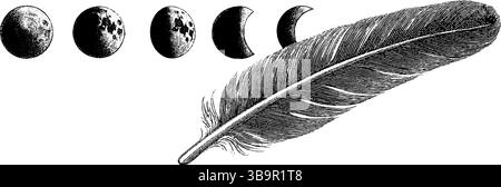 Ensemble d'illustrations gravées représentant des phases de lune et des plumes pour des dessins astrologiques. Illustration de Vecteur
