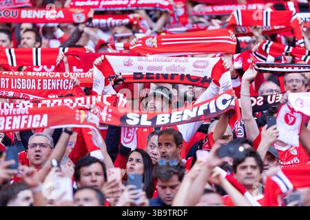 Lisbonne, Lisbonne, Portugal. 10 mai 2025. Les supporters de Benfica avant le début du match pour Liga Portugal Betclic entre Benfica et Sporting à Estadio da Luz crédit : Alexandre de Sousa/ZUMA Press Wire/ZUMA Wire/Alamy Live News Banque D'Images