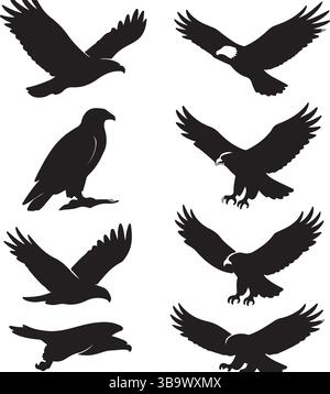 Collection silhouettes d'aigle – 8 oiseaux de proie majestueux dans des poses dynamiques Illustration de Vecteur