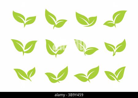 Ensemble d'icônes de feuille verte étiquettes écologiques, croissance organique et durabilité Illustration de Vecteur