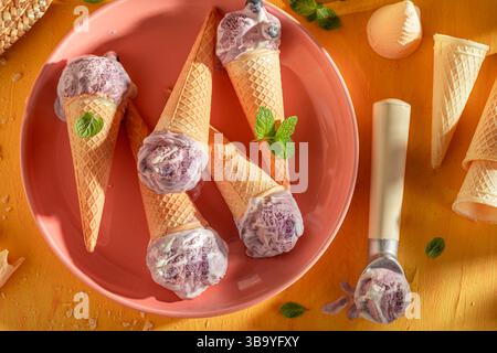 Crème glacée aux myrtilles maison et savoureuse comme dessert d'été. Crème glacée à base de crème et de bleuets. Banque D'Images