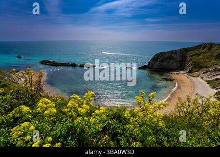 Man o’ War Beach et Man o’ War Cove depuis le sentier côtier autour de Durdle Door, île de Purbeck, Dorset, Angleterre, Royaume-Uni. Banque D'Images