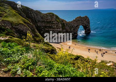 Durdle porte depuis le chemin de falaise île de Purbeck, Dorset, Angleterre, Royaume-Uni. Banque D'Images